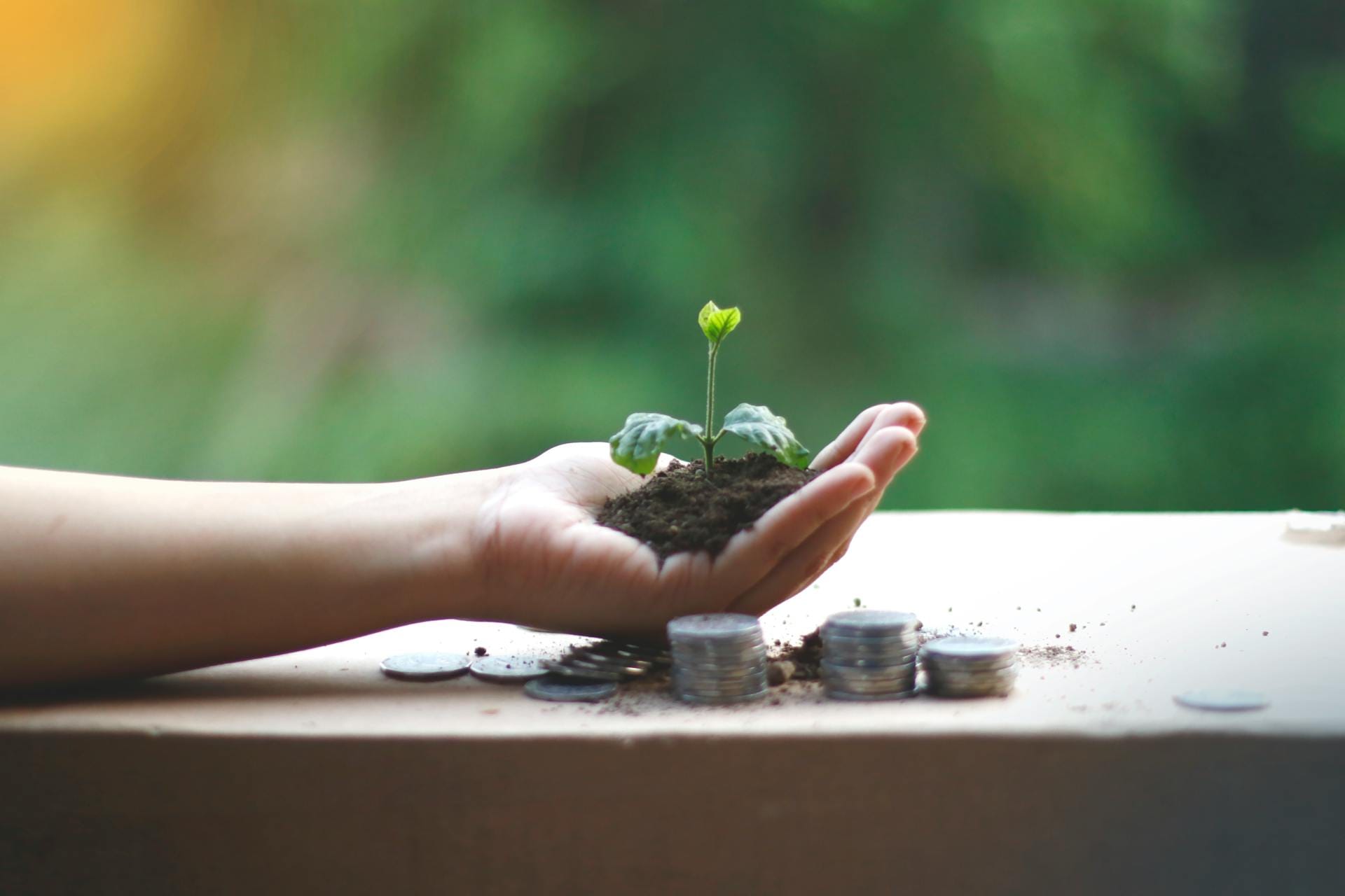 Main tenant plante, pièces empilées autour.