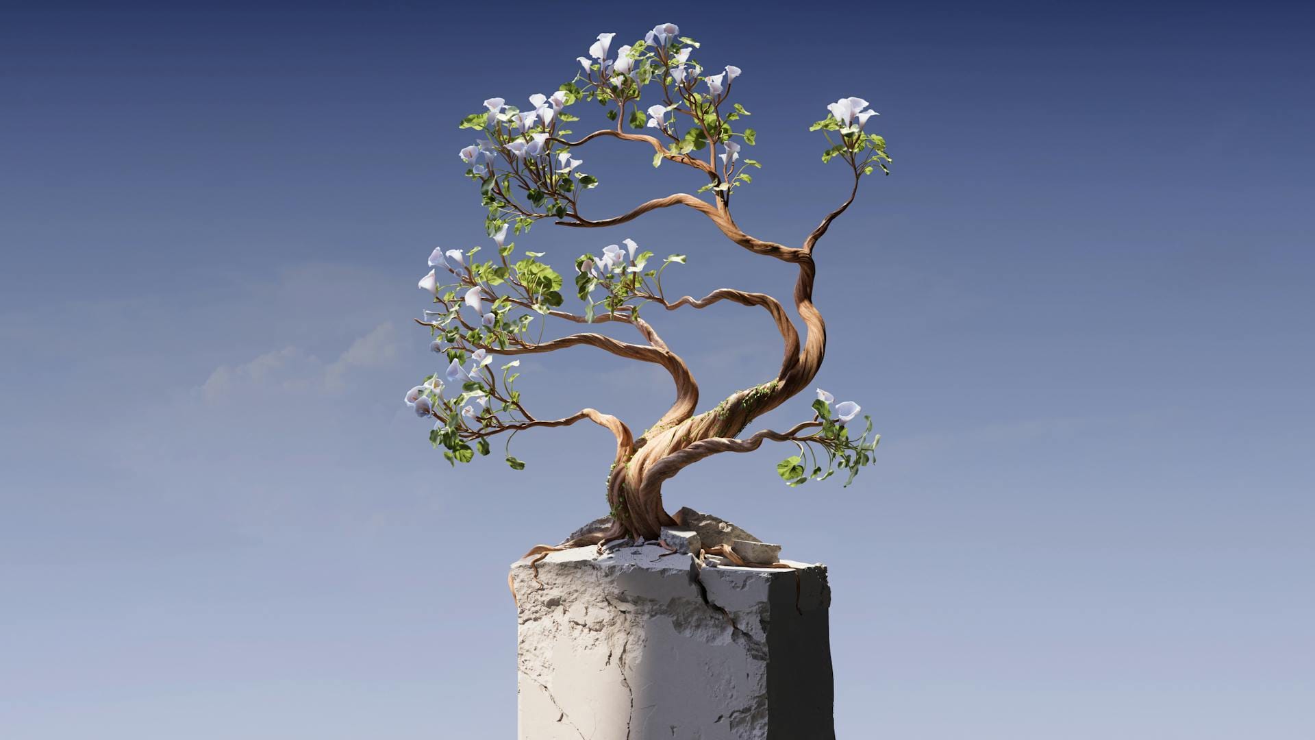 Bonsaï fleuri sur pilier cassé.