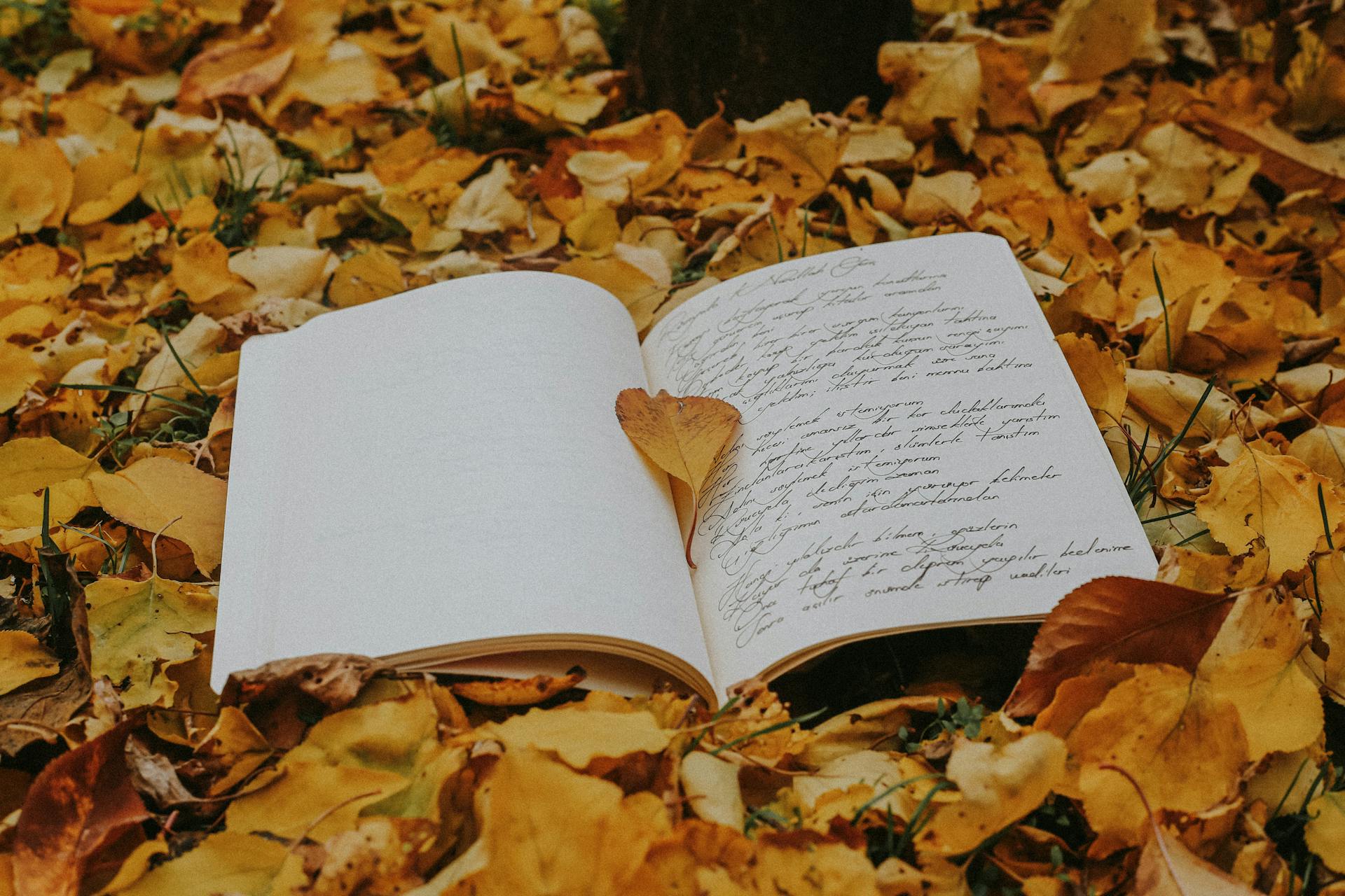 Livre ouvert sur feuilles d'automne jaunes.